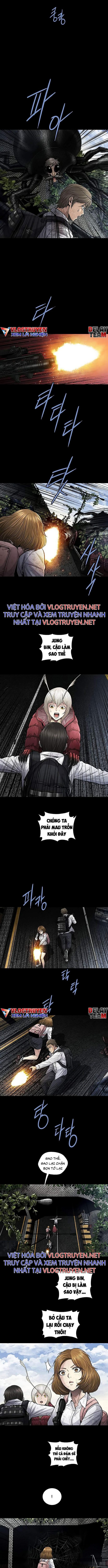 Đọc truyện Hive - Thảm họa ong độc - Chap 266